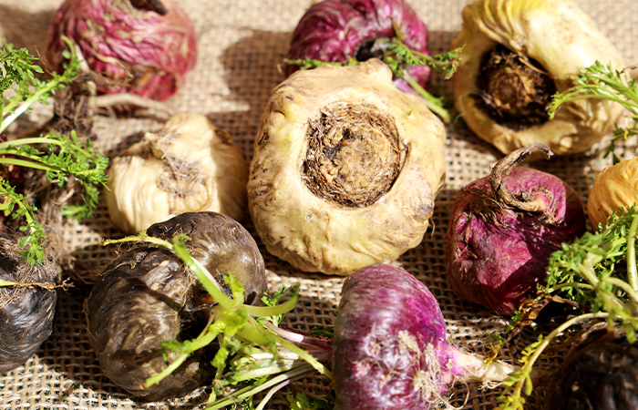 Maca-root